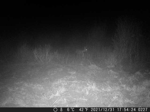 DSCF0227_th_1660213731