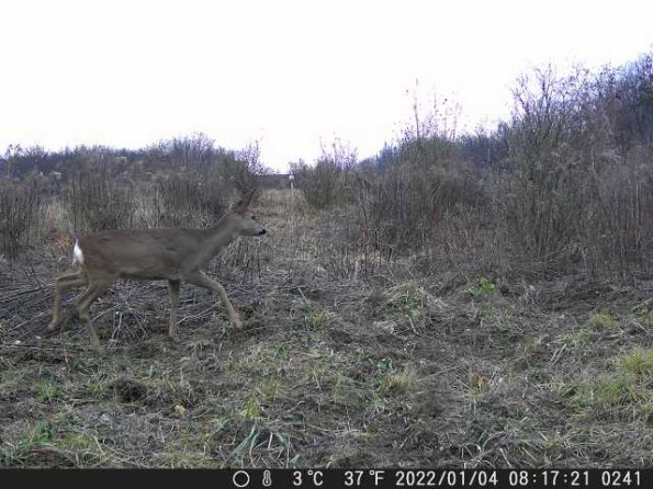 DSCF0241_th_1660213733