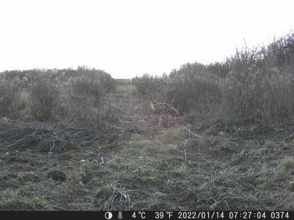 DSCF0374_th