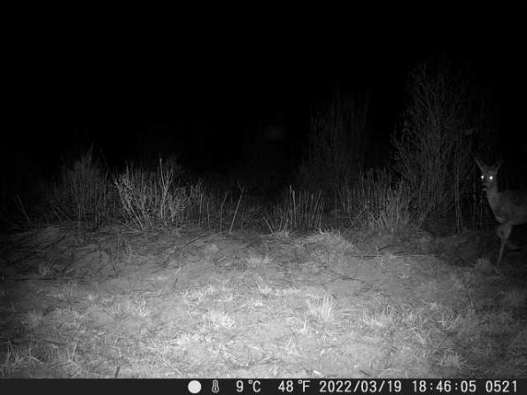 DSCF0521_th_1660213908