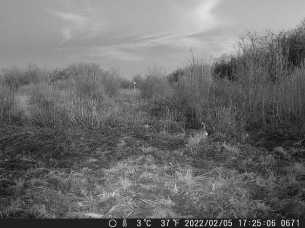 DSCF0671_th