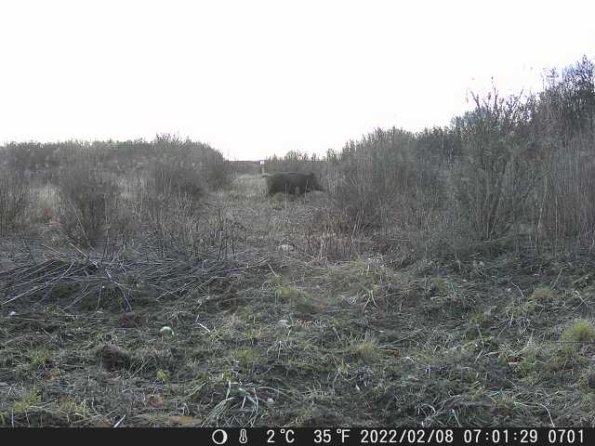 DSCF0701_th