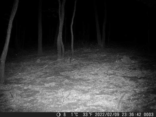 DSCF0003_th_1660215687