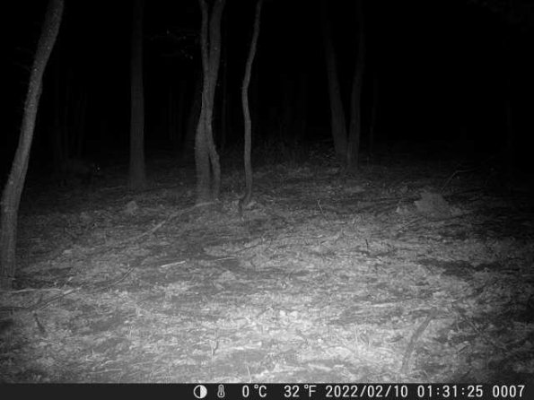 DSCF0007_th_1660215687