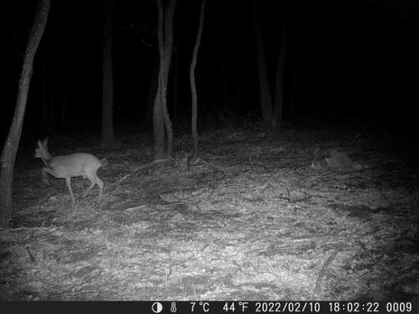 DSCF0009_th_1660215688