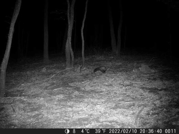 DSCF0011_th_1660215689