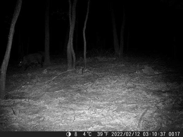 DSCF0017_th_1660215690