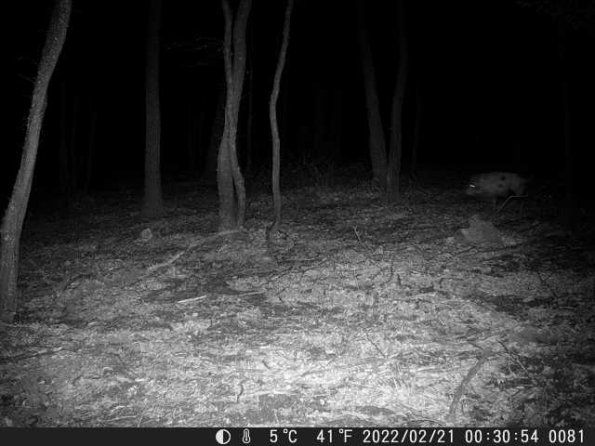 DSCF0081_th