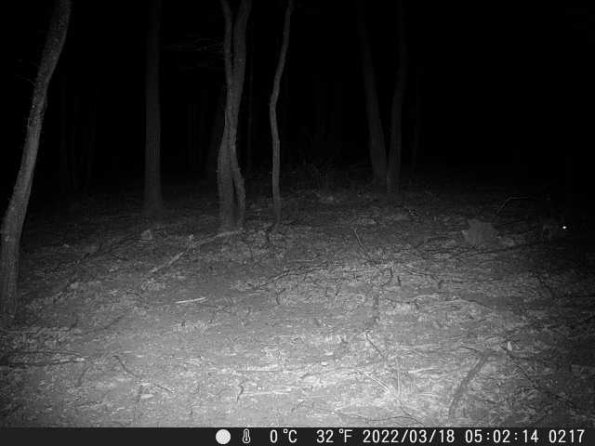 DSCF0217_th