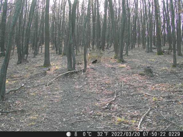 DSCF0229_th_1660215783