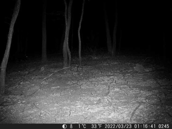 DSCF0245_th_1660215794