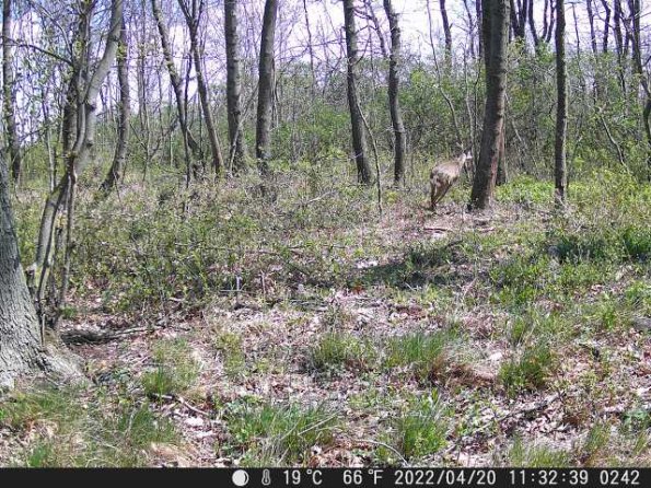 DSCF0242_th_1660218682