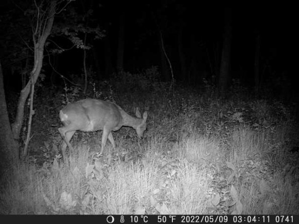 DSCF0741_th