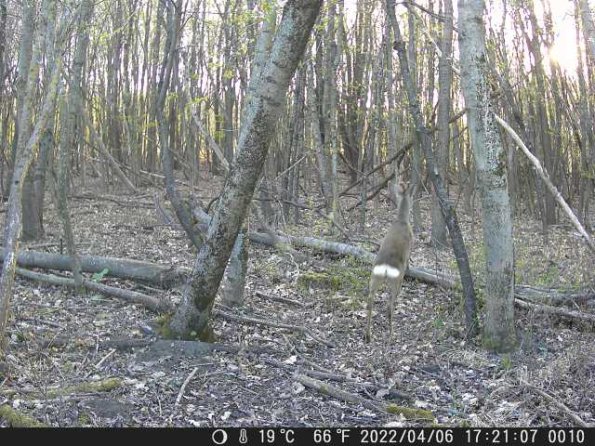 DSCF0010_th_1660212954