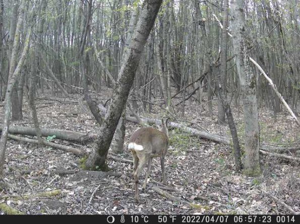 DSCF0014_th_1660212954