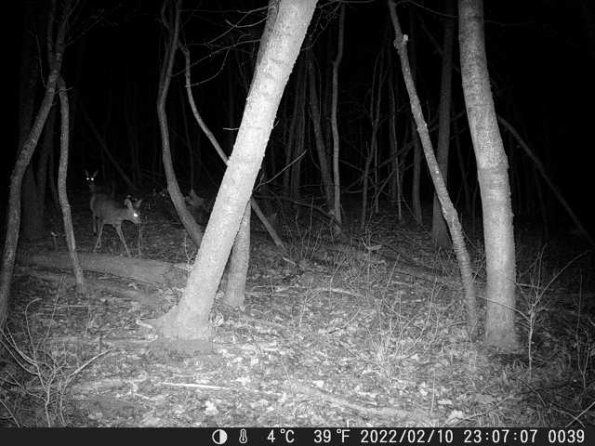 DSCF0039_th_1660212953