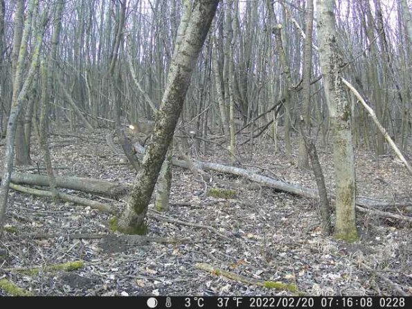 DSCF0228_th_1660212963