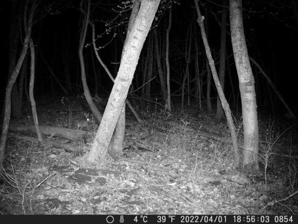 DSCF0854_th