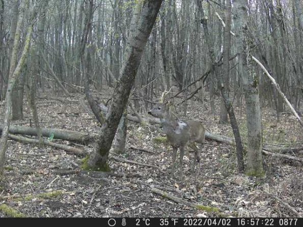 DSCF0877_th