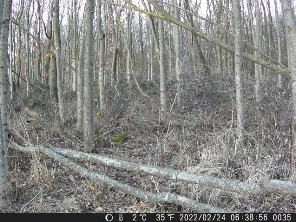 DSCF0035_th_1660212478