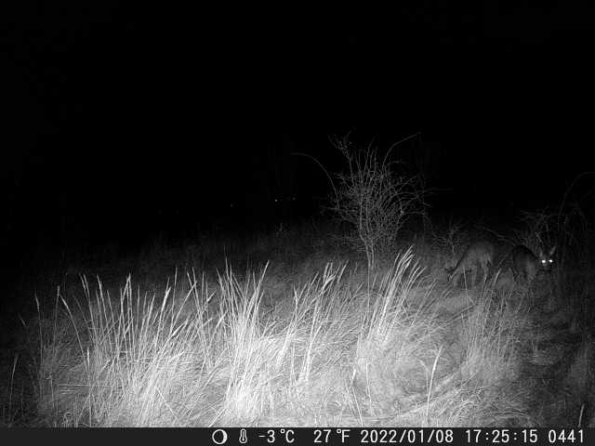 DSCF0441_th