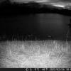 DSCF0566_th