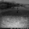 DSCF0571_th