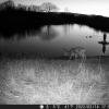 DSCF0577_th