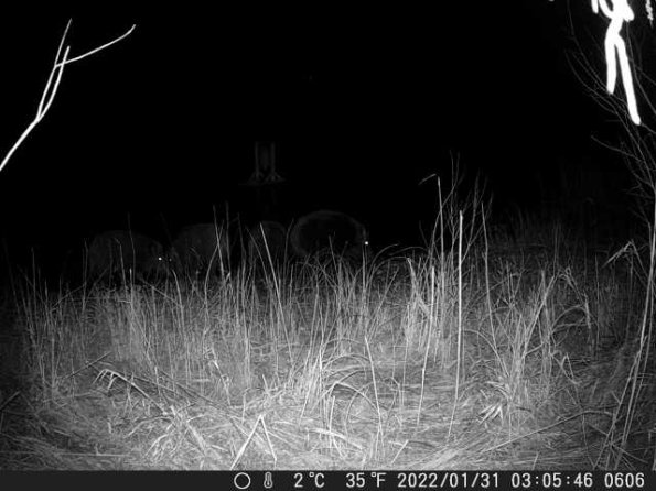 DSCF0606_th