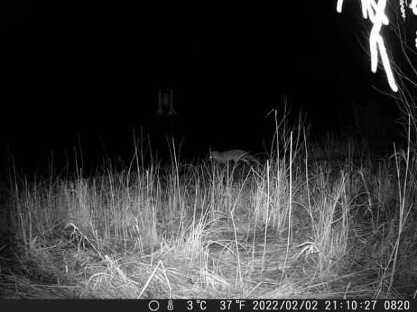 DSCF0820_th