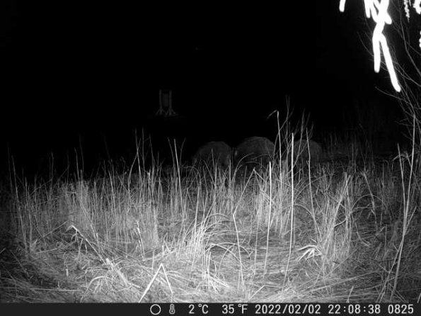 DSCF0825_th