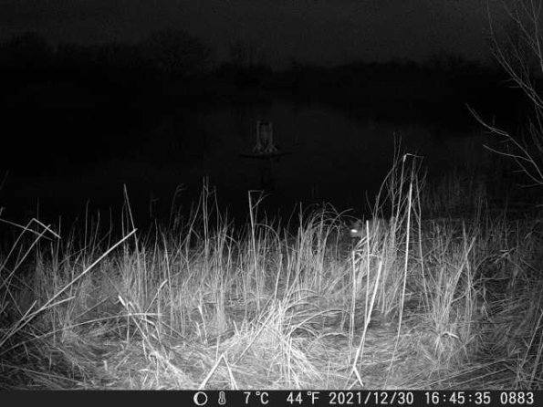 DSCF0883_th