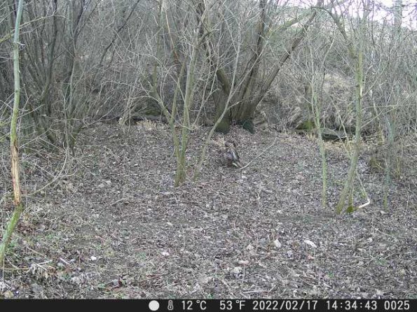 DSCF0025_th_1660217234