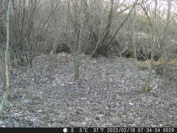 DSCF0029_th_1660217234