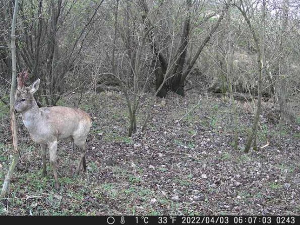 DSCF0243_th_1660217262