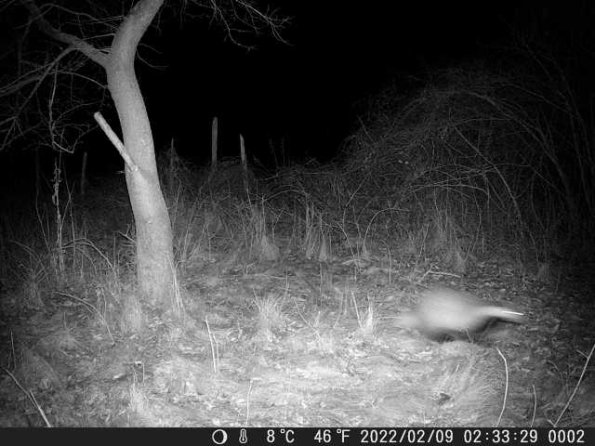 DSCF0002_th_1660216353