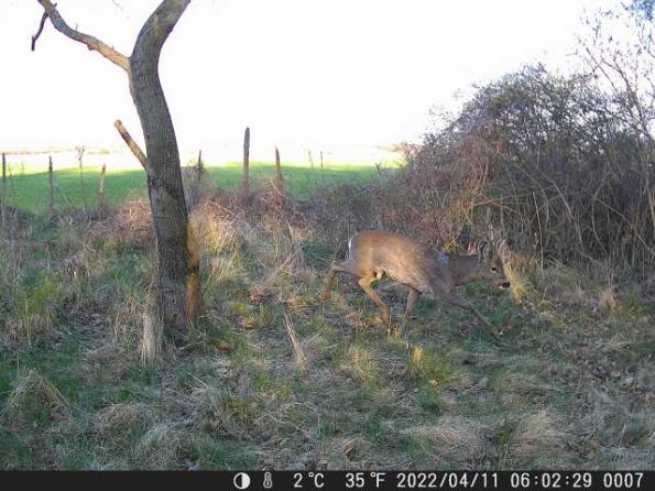 DSCF0007_th_1660216430