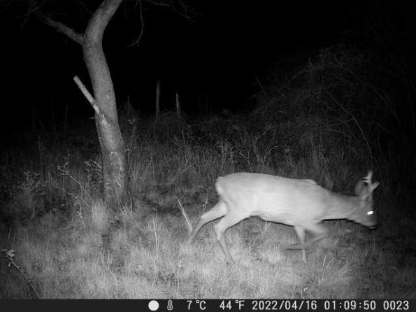 DSCF0023_th_1660216428