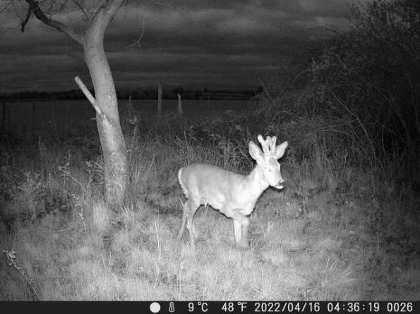 DSCF0026_th_1660216431