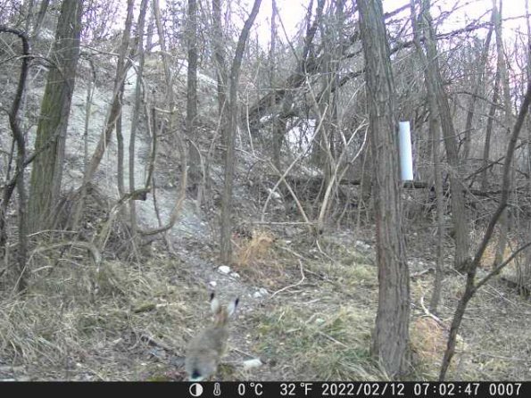 DSCF0007_th_1660207412