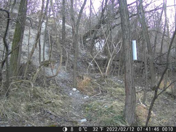 DSCF0010_th_1660207415