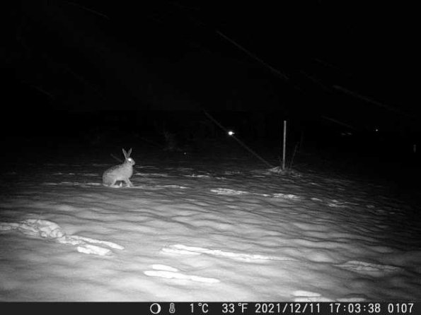 DSCF0107_th