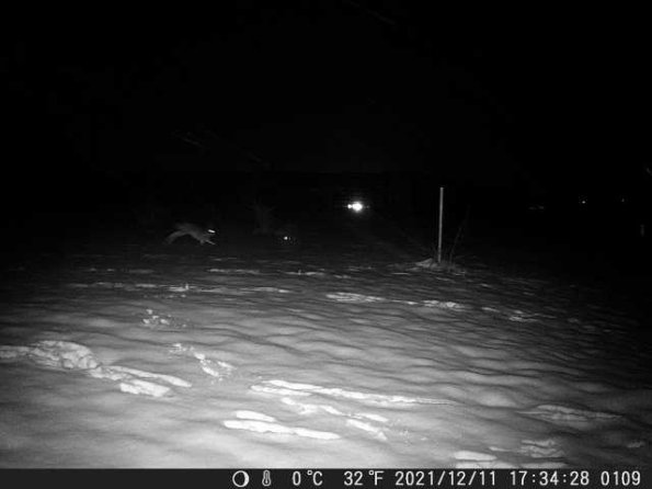 DSCF0109_th