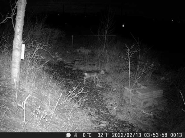 DSCF0013_th_1660207866