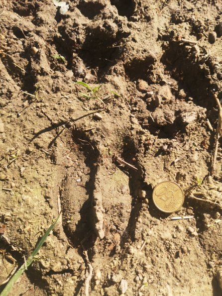 AT_POET_abovefootprintphoto_20220519084408973_1660301030