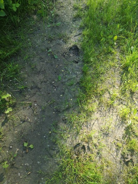 AT_POET_abovefootprintphoto_20220519084616856_1660301032