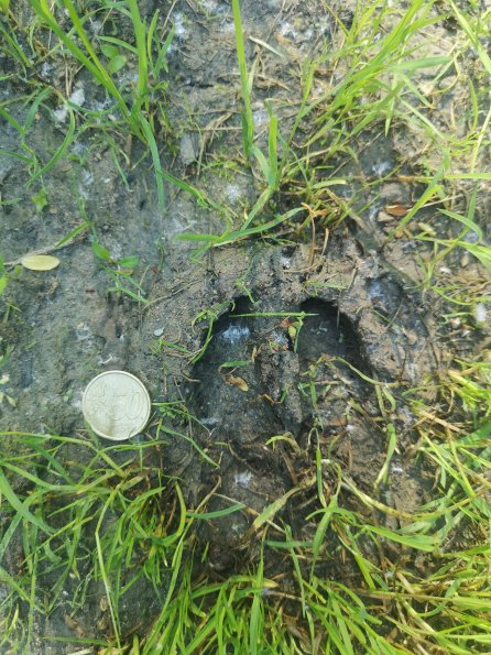 AT_POET_abovefootprintphoto_20220519084634723_1660301028