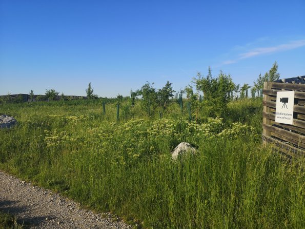 AT_POET_entranceareaphotofrombothsidesoverpass_20220519070244005