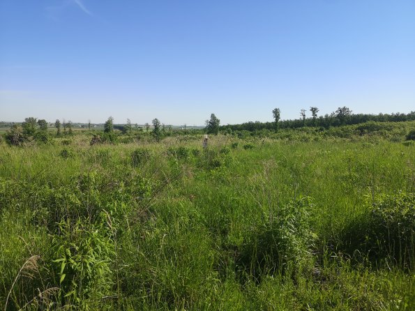 AT_POET_onoverpassphoto_20220519091304695_1660301157