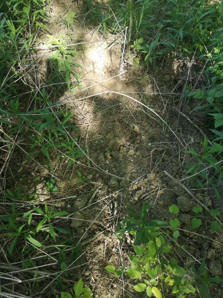 AT_POET_otheractivitysignphoto_20220519085840380_1660301160